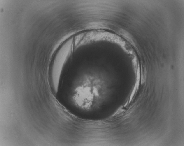 X0000066120387200604071917