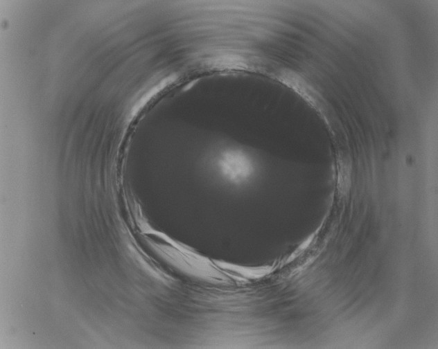 X0000066120390200604071917