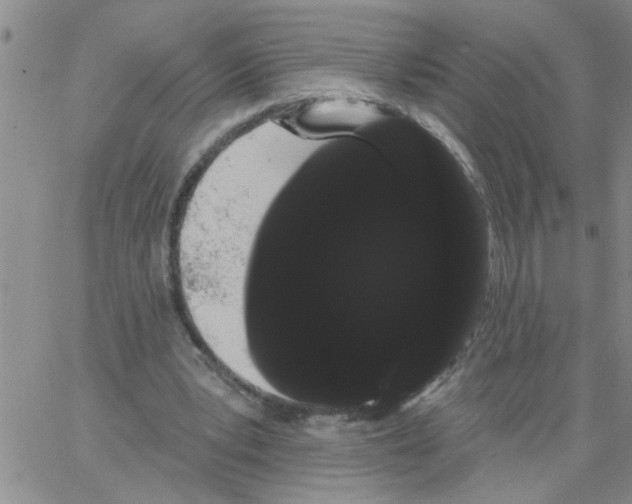 X0000066120391200604071917