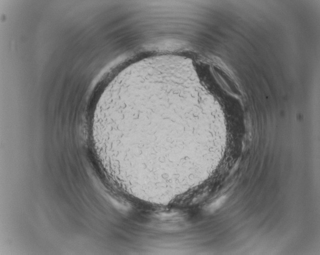 X0000066120392200604071917