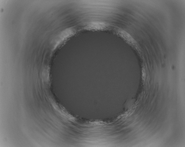 X0000066120396200604071917