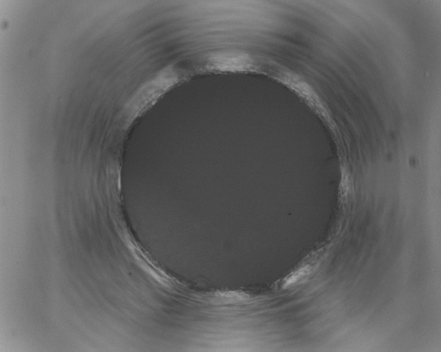 X0000066120397200604071917