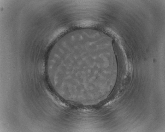 X0000066120400200604071917