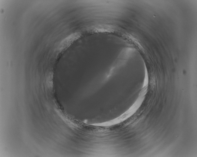 X0000066120402200604071917