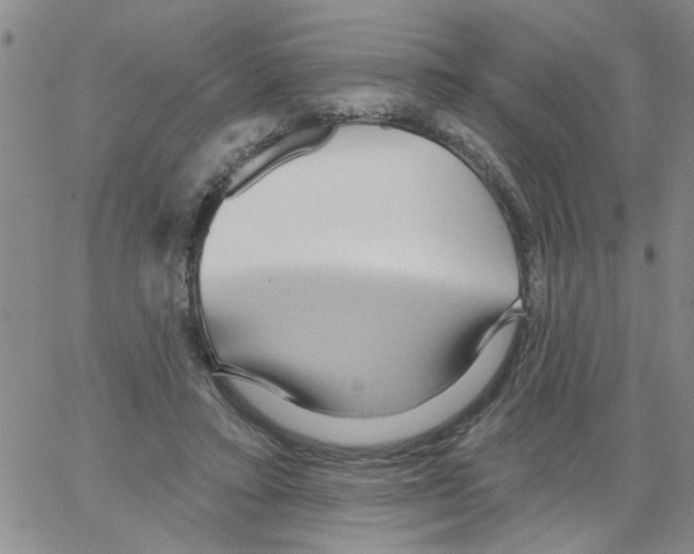 X0000066120403200604071917