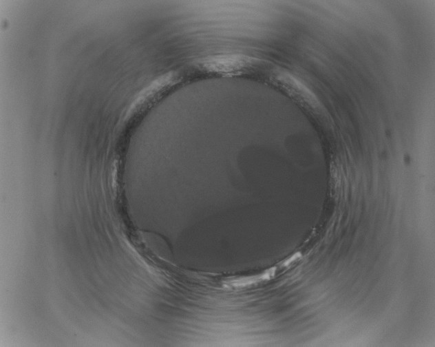 X0000066120404200604071917