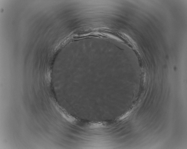 X0000066120405200604071917