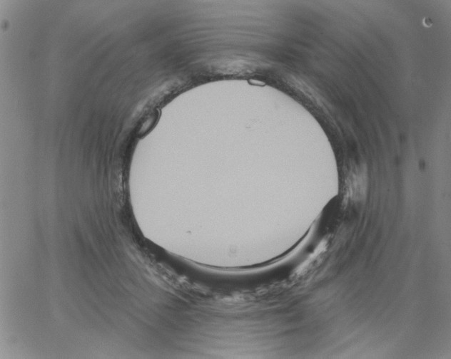 X0000066120407200604071917