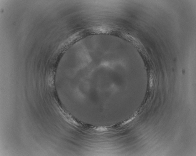 X0000066120409200604071917