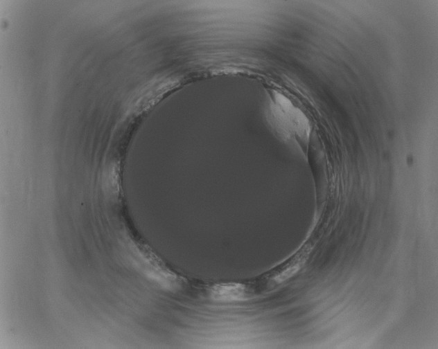 X0000066120410200604071917