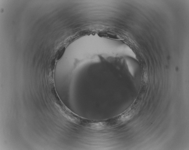 X0000066120411200604071917