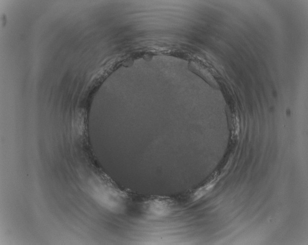 X0000066120412200604071917