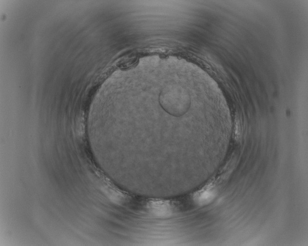 X0000066120413200604071917