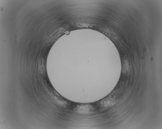 X0000066120414200604071917