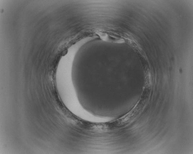 X0000066120415200604071917