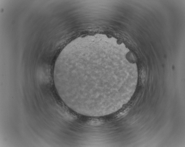 X0000066120416200604071917