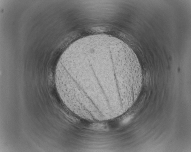 X0000066120418200604071917