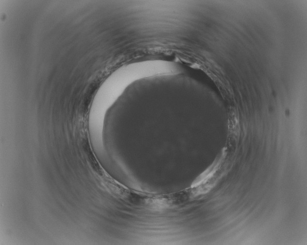 X0000066120419200604071917