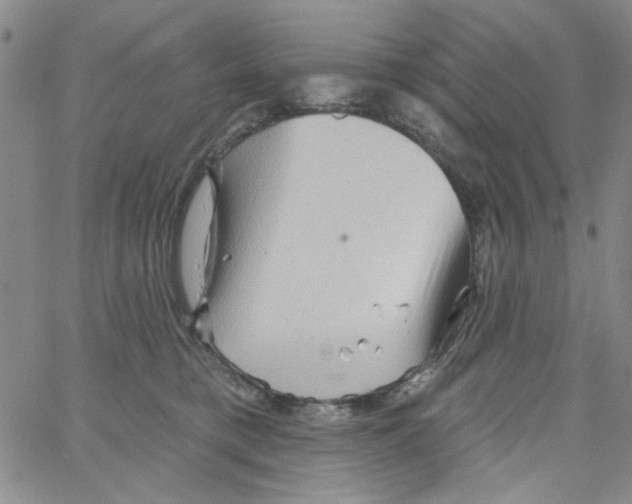 X0000066120421200604071917