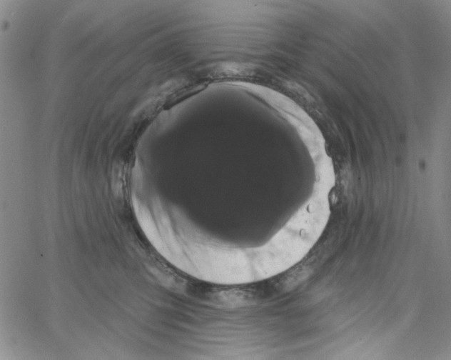 X0000066120423200604071917