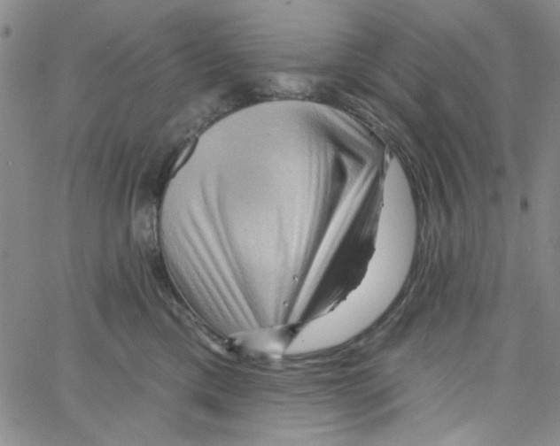 X0000066120425200604071917