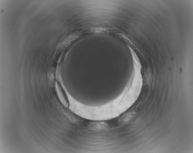 X0000066120427200604071917