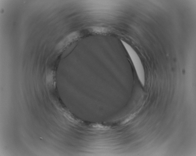 X0000066120428200604071917