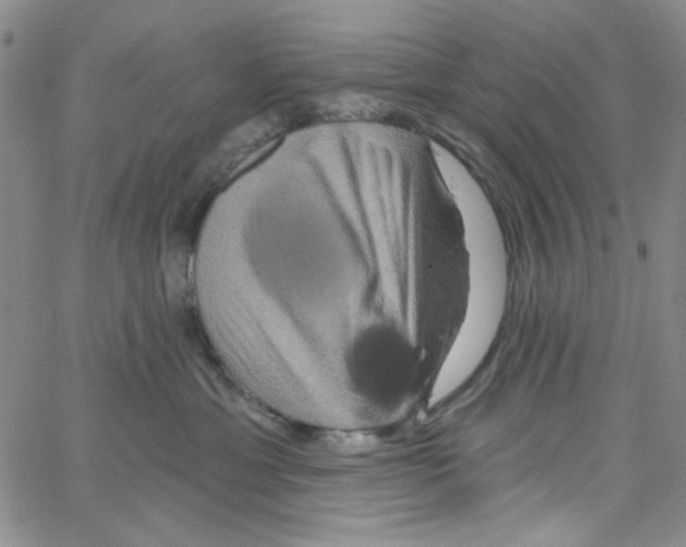 X0000066120429200604071917