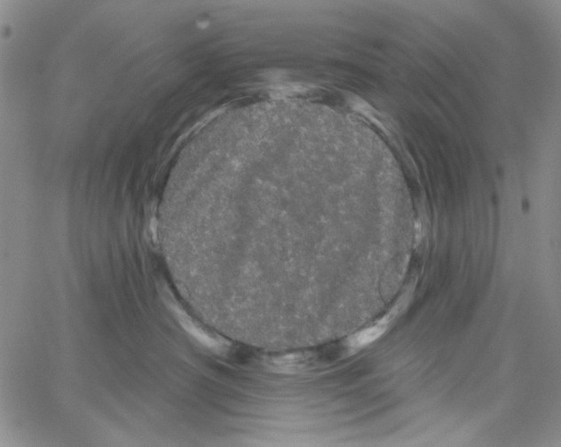 X0000066120430200604071917