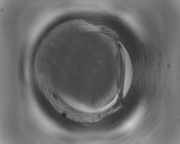 X0000066120431200604071917