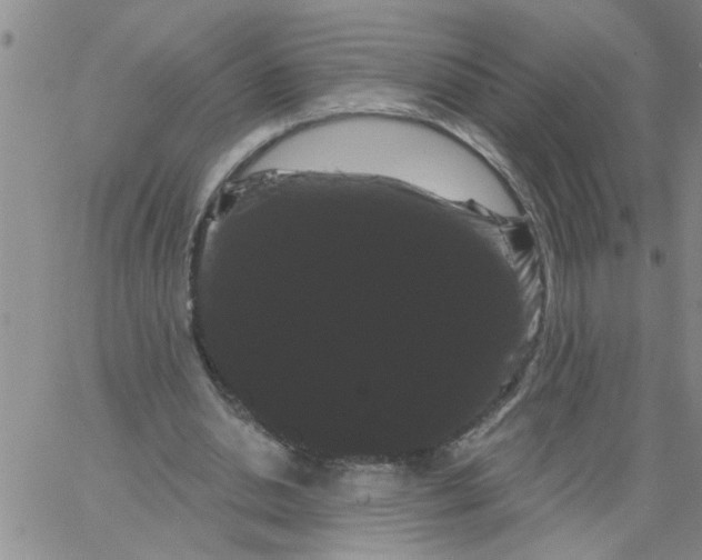 X0000066120438200604071916