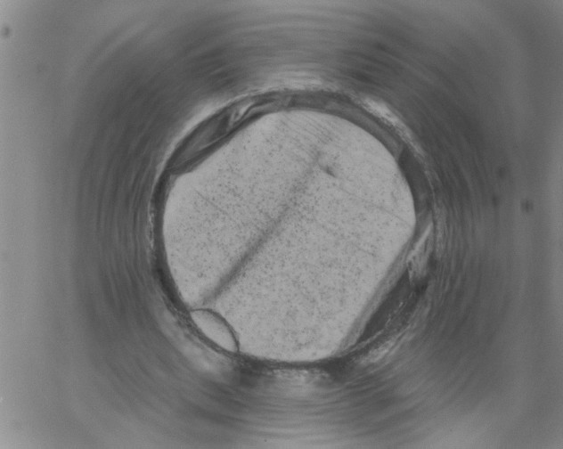 X0000066120439200604071916