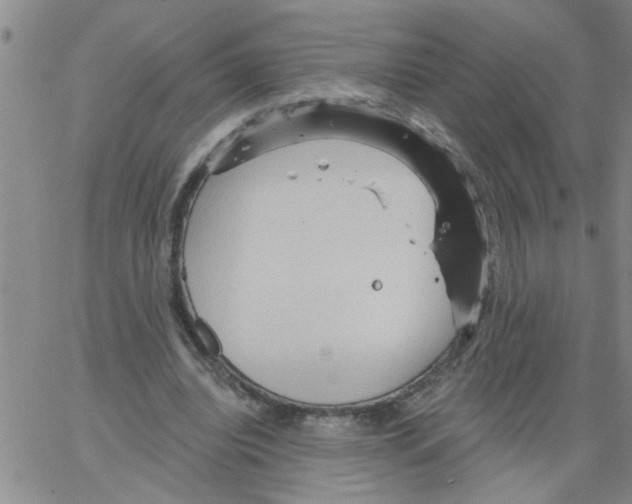 X0000066120440200604071916