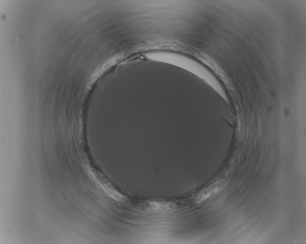 X0000066120442200604071916