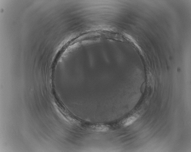 X0000066120443200604071916