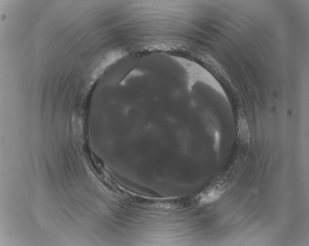 X0000066120444200604071916