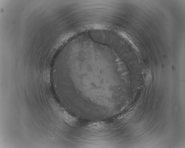 X0000066120447200604071916