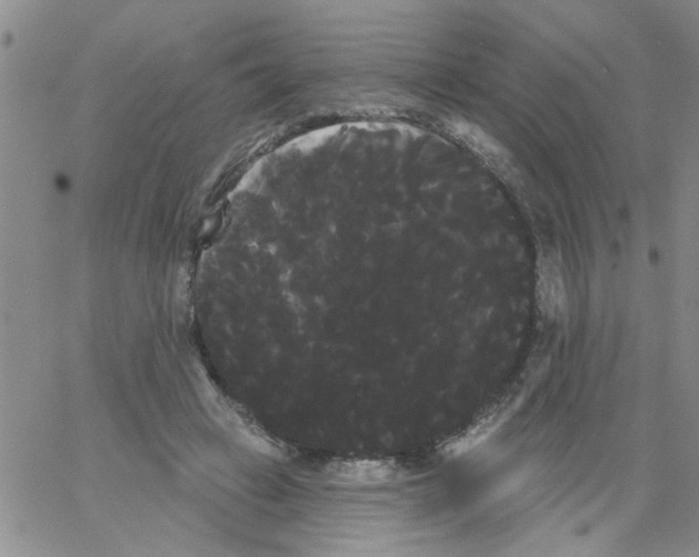 X0000066120449200604071916