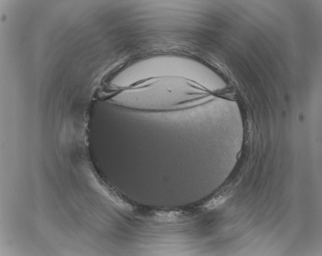 X0000066120450200604071916