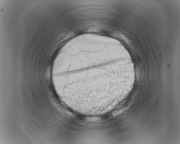 X0000066120455200604071916