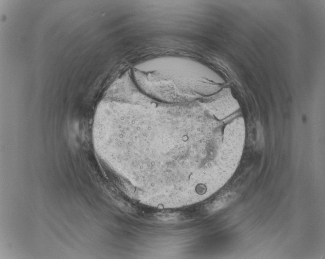 X0000066120457200604071916