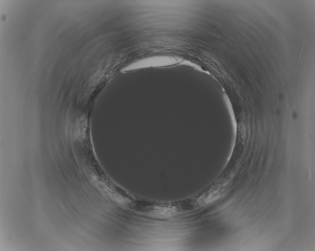 X0000066120458200604071916