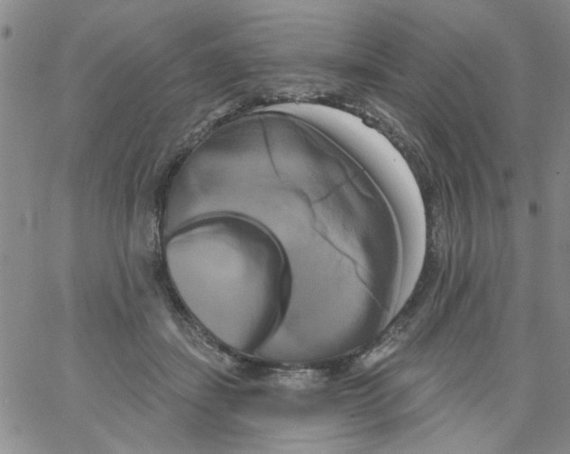 X0000066120459200604071916