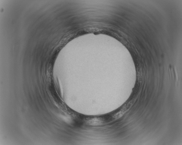 X0000066120460200604071916