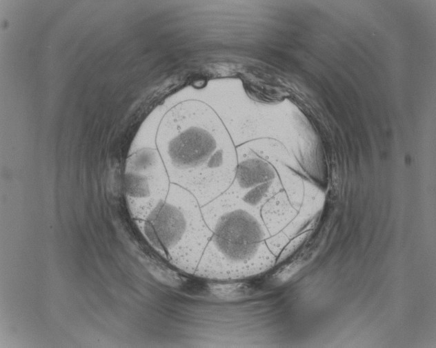 X0000066120461200604071916