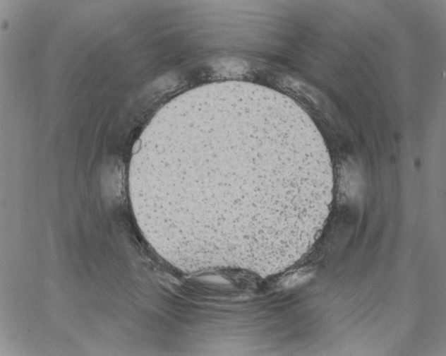 X0000066120463200604071916