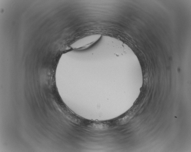 X0000066120464200604071916