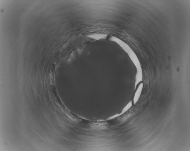 X0000066120465200604071916