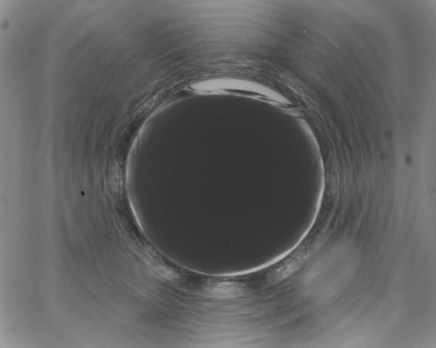 X0000066120467200604071916