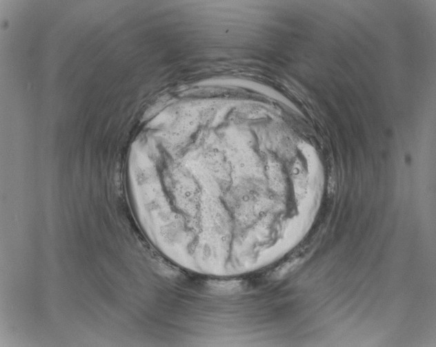 X0000066120469200604071916